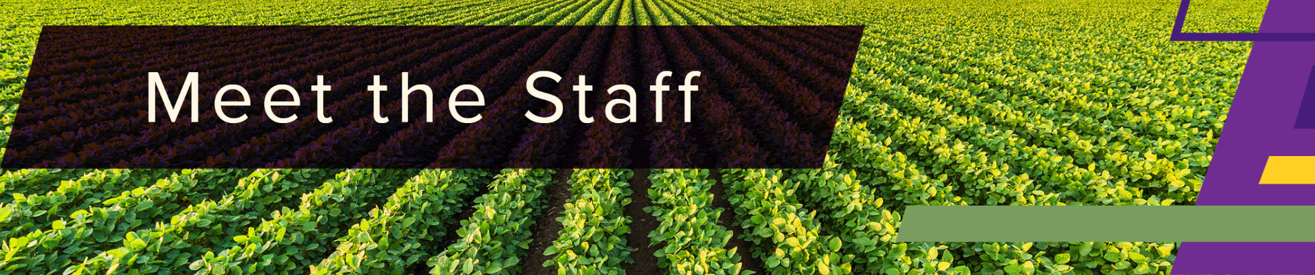 meet the staff banner. 